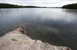 algonquin park muskoka ontario lake wilderness foto