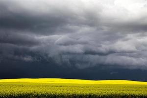 storm moln saskatchewan foto