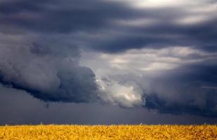 storm moln saskatchewan foto