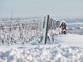 alsace vingårdar under tung snö en solig vinterdag. detaljer och ovanifrån. foto