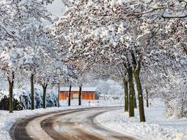 Vintersaga. snötäckt rent ljus landskap av alsace. foto