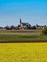 vackra gula fält av raps, biobränslekomponent, jordbruk i Frankrike foto