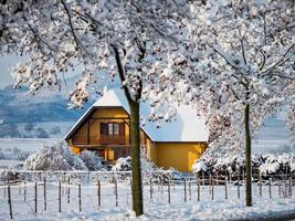 Vintersaga. snötäckt rent ljus landskap av alsace. foto