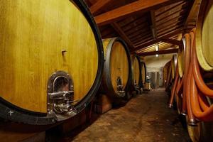 ekfat med vin i källaren på en italiensk vinmakare. gammal vinproduktionsteknik. foto