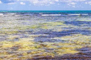 tropisk mexikansk strand cenote punta esmeralda playa del carmen mexico. foto