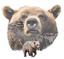 grizzlybjörn collage foto