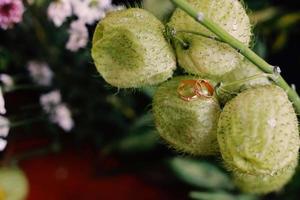 ett par vigselringar på blomma foto