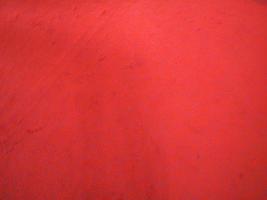 röd moquette matta textur bakgrund foto