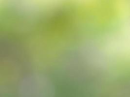 abstrakt grön oskärpa bakgrund foto