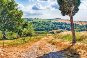 grusväg som korsar torra fält på landsbygden, Toscana, Italien foto