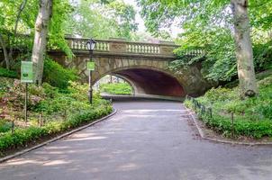 central park, manhattan, new york city, usa foto