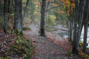 färgglada träd på hösten vid skogsstigen i michigan övre halvön foto