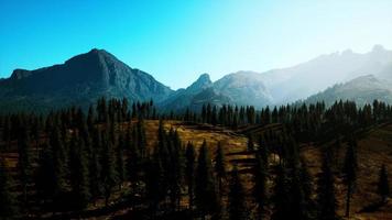 landskapsvy över bergskedjan med träd på hösten foto