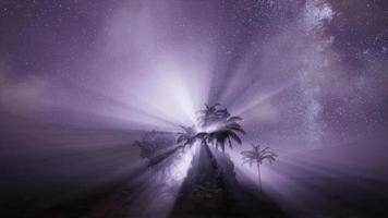 Vintergatan galaxen över tropisk regnskog. foto