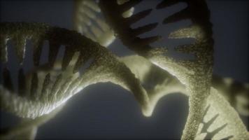 loop dubbel spiralstruktur av DNA-sträng närbild animation foto