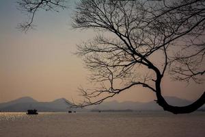 natur träd landskap berg sjö foto