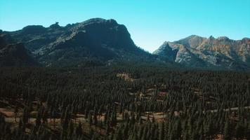 Flygfoto över bergsväg och skog foto