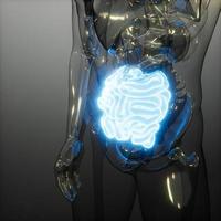 mänsklig tunntarmsröntgenundersökning foto