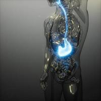 mänsklig mage röntgenundersökning foto