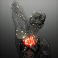 mänskligt hjärta röntgenundersökning foto
