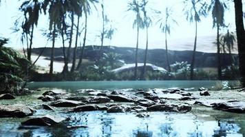 panorama av vacker oas omgiven av sanddyner foto