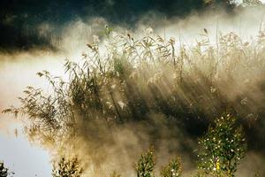 vacker dimmig gryning över falla floddimma foto