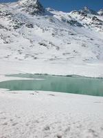 piz bernina bergskedja i schweiziska retiska alperna i kanton gr foto