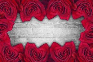 glad alla hjärtans dag. gratulationer bakgrund med ros blomma foto