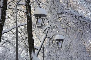 lyktor i snön i stadsparken. snön ligger på trädgrenarna. snöig frostig vinter. foto