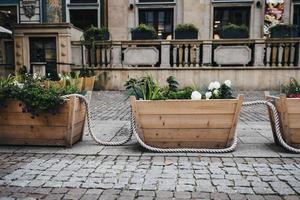 stora trälådor med blommor foto