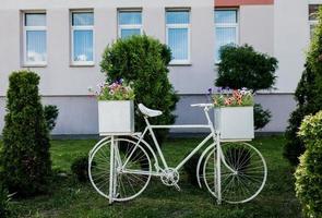 cykel med blommig korg foto