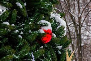 vackra dekorationer på julgran. foto