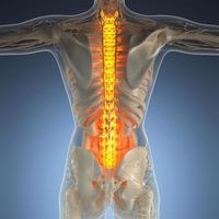 vetenskap anatomi av människokroppen i röntgen med glöd tillbaka ben foto