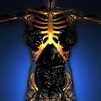 vetenskap anatomi av människokroppen i röntgen med glöd skelett ben foto