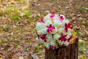 brudbukett rosor på träplankor foto