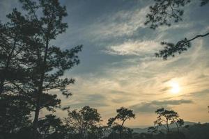 siluettkoncept av utsiktspunkt för solnedgång vid phu ruea nationalpark, loei, thailand med gyllene himmelsbakgrund och pinus kesiya-träd på skymningstonen efter solnedgången. foto