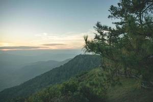 siluettkoncept av utsiktspunkt för solnedgång vid phu ruea nationalpark, loei, thailand med gyllene himmelsbakgrund och pinus kesiya-träd på skymningstonen efter solnedgången. foto