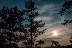 siluettkoncept av utsiktspunkt för solnedgång vid phu ruea nationalpark, loei, thailand med gyllene himmelsbakgrund och pinus kesiya-träd på skymningstonen efter solnedgången. foto