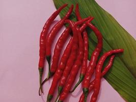 stor röd chili och lockig röd chili. med rosa bakgrund foto