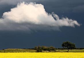 prärie stormmoln foto