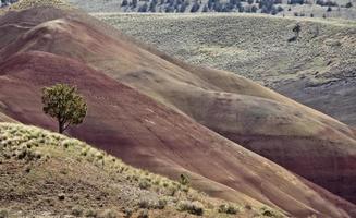 målade kullar Oregon foto