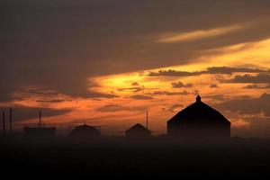 skörd solnedgång saskatchewan foto