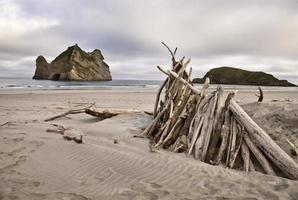 farväl spit new zealand foto