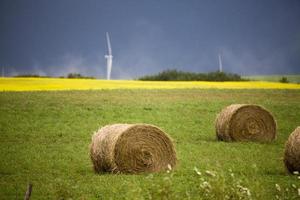 stormmoln kanada vindkraftspark foto