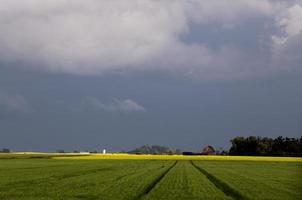 prärie stormmoln foto