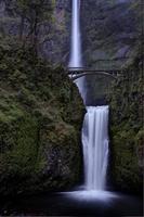 multnomah falls Oregon foto