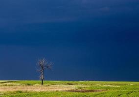 prärie stormmoln foto