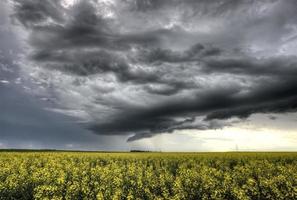 storm moln saskatchewan foto