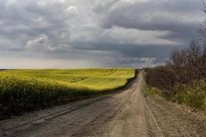 stormmoln kanada foto