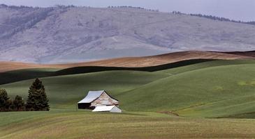 palouse natursköna washington foto